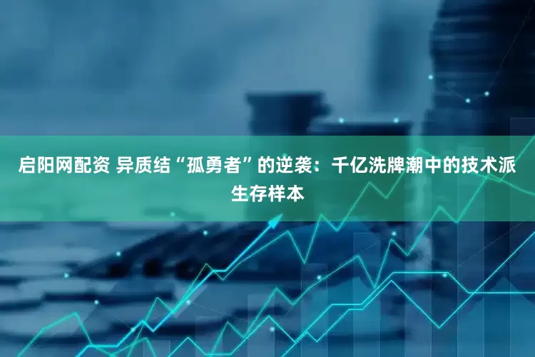 启阳网配资 异质结“孤勇者”的逆袭：千亿洗牌潮中的技术派生存样本