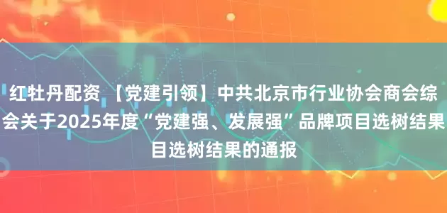 红牡丹配资 【党建引领】中共北京市行业协会商会综合委员会关于2025年度“党建强、发展强”品牌项目选树结果的通报